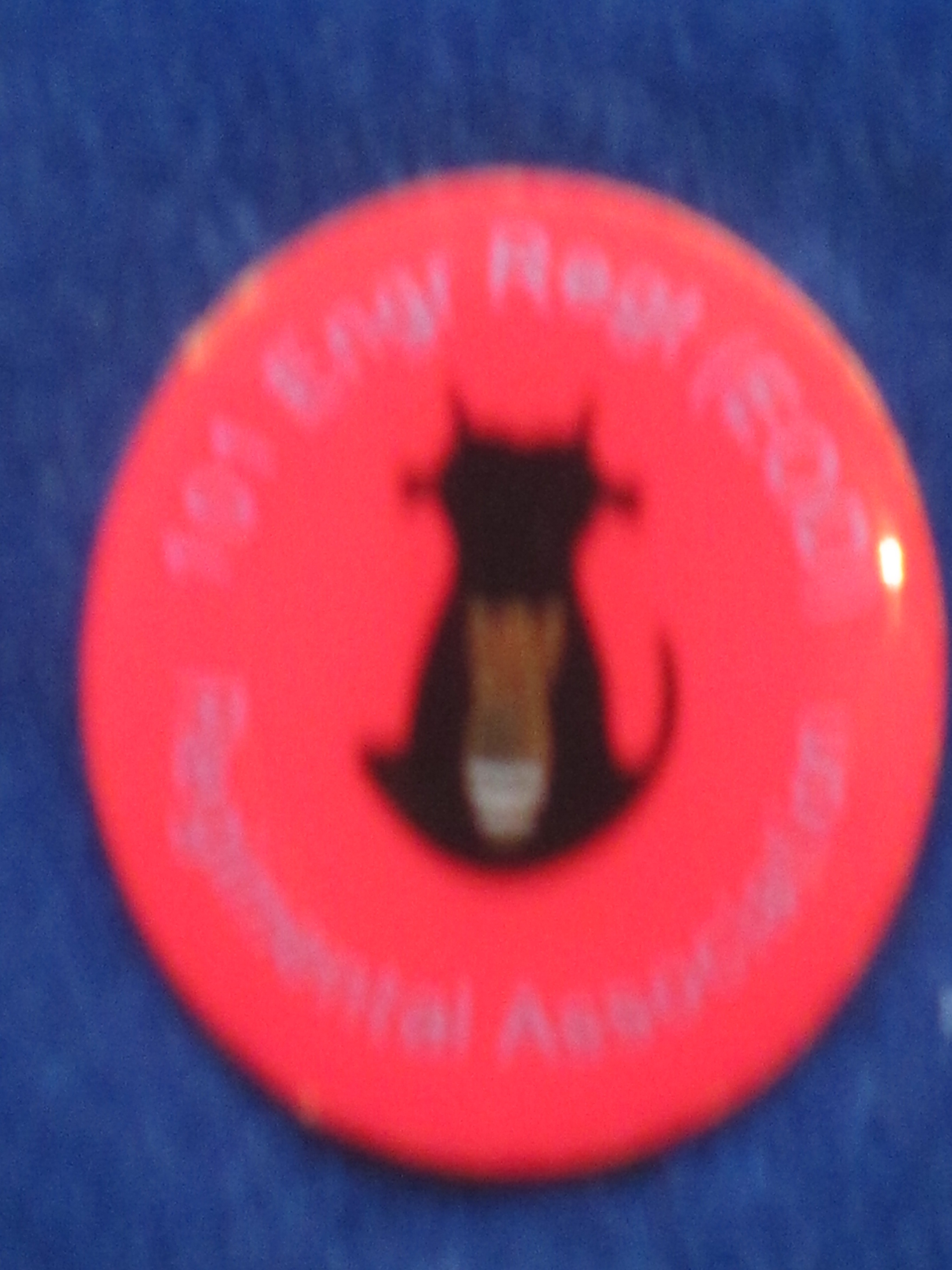 pin badge